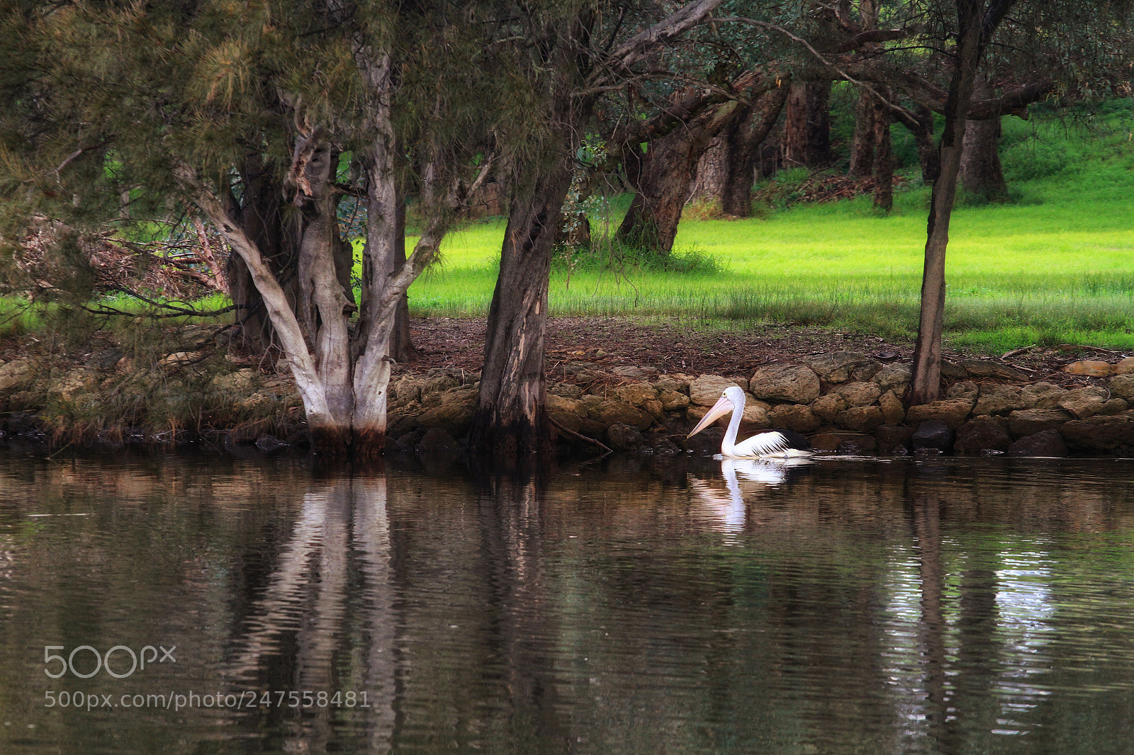 Canon EOS 7D sample photo. Tranquility photography