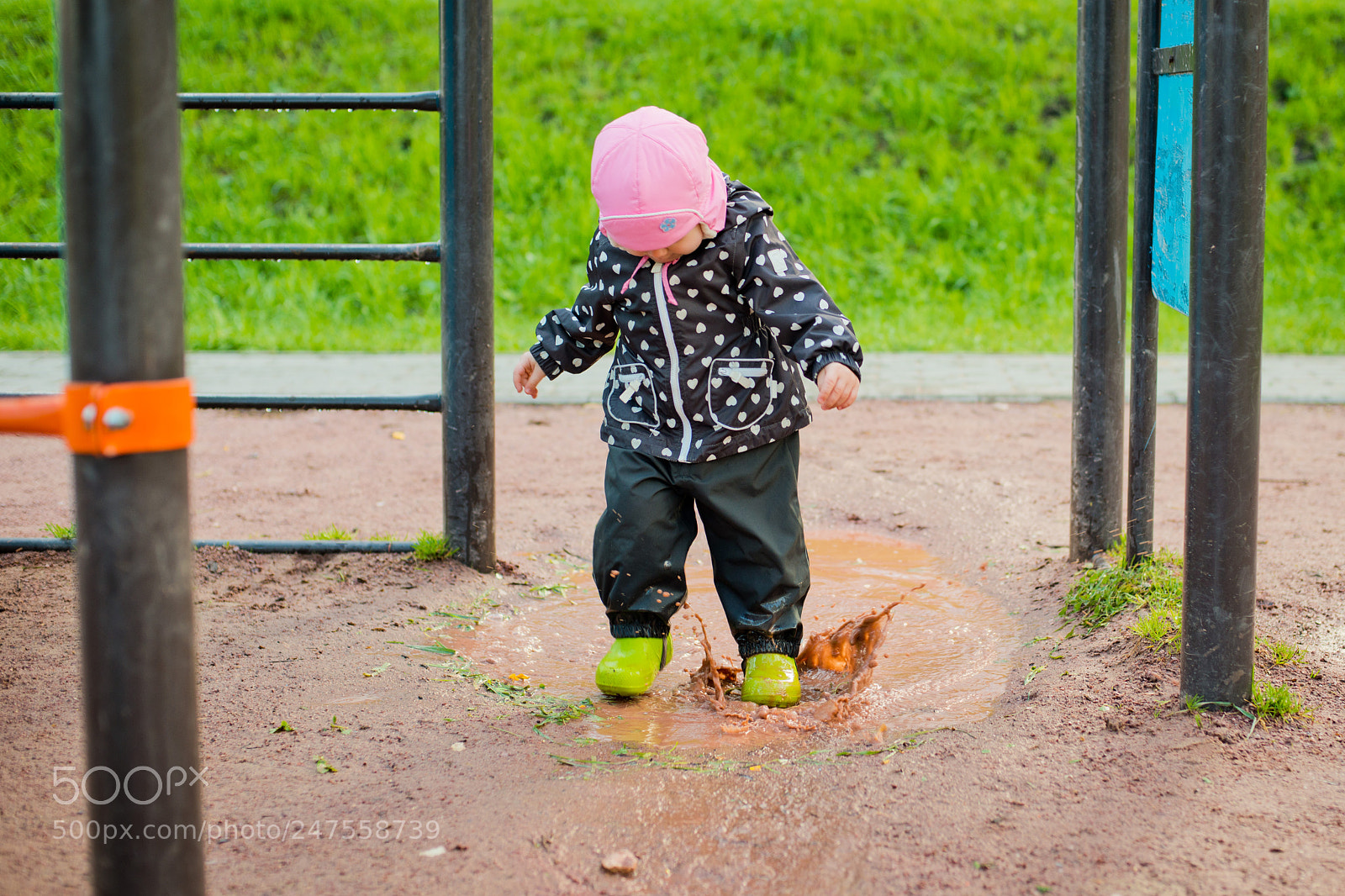Nikon D800 sample photo. The child goes through photography