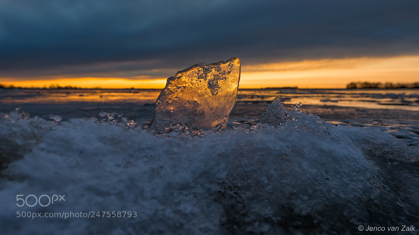 Nikon D800E sample photo. Sun(r)ice photography