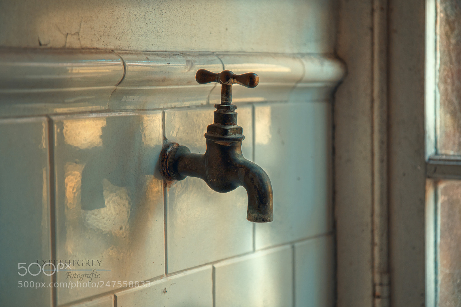 Canon EOS 80D sample photo. Run dry photography
