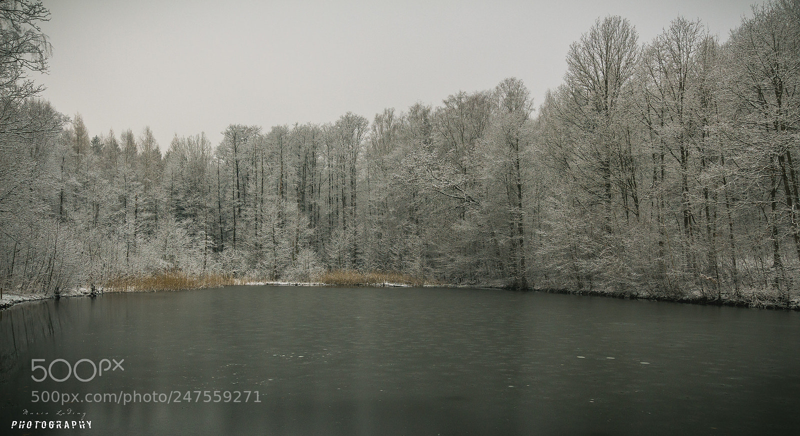 Canon EOS 700D (EOS Rebel T5i / EOS Kiss X7i) sample photo. Winter am see photography