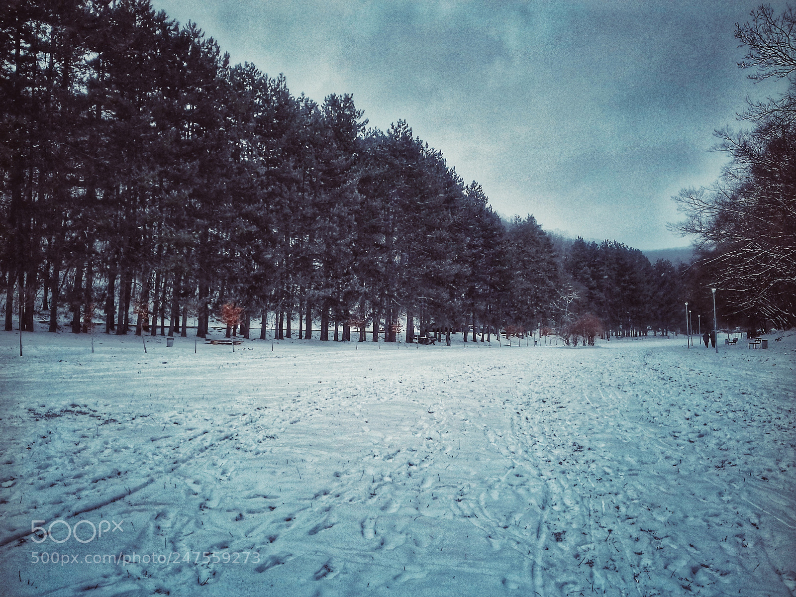 Samsung Galaxy J3(2016) sample photo. Cold winter photography