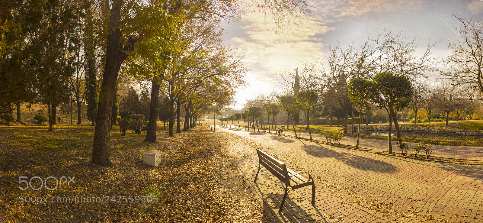 Canon EOS 600D (Rebel EOS T3i / EOS Kiss X5) sample photo. Morning in the park photography