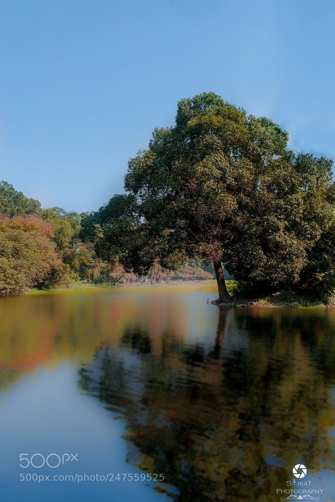 Nikon D5200 sample photo. Copy edit edit photography