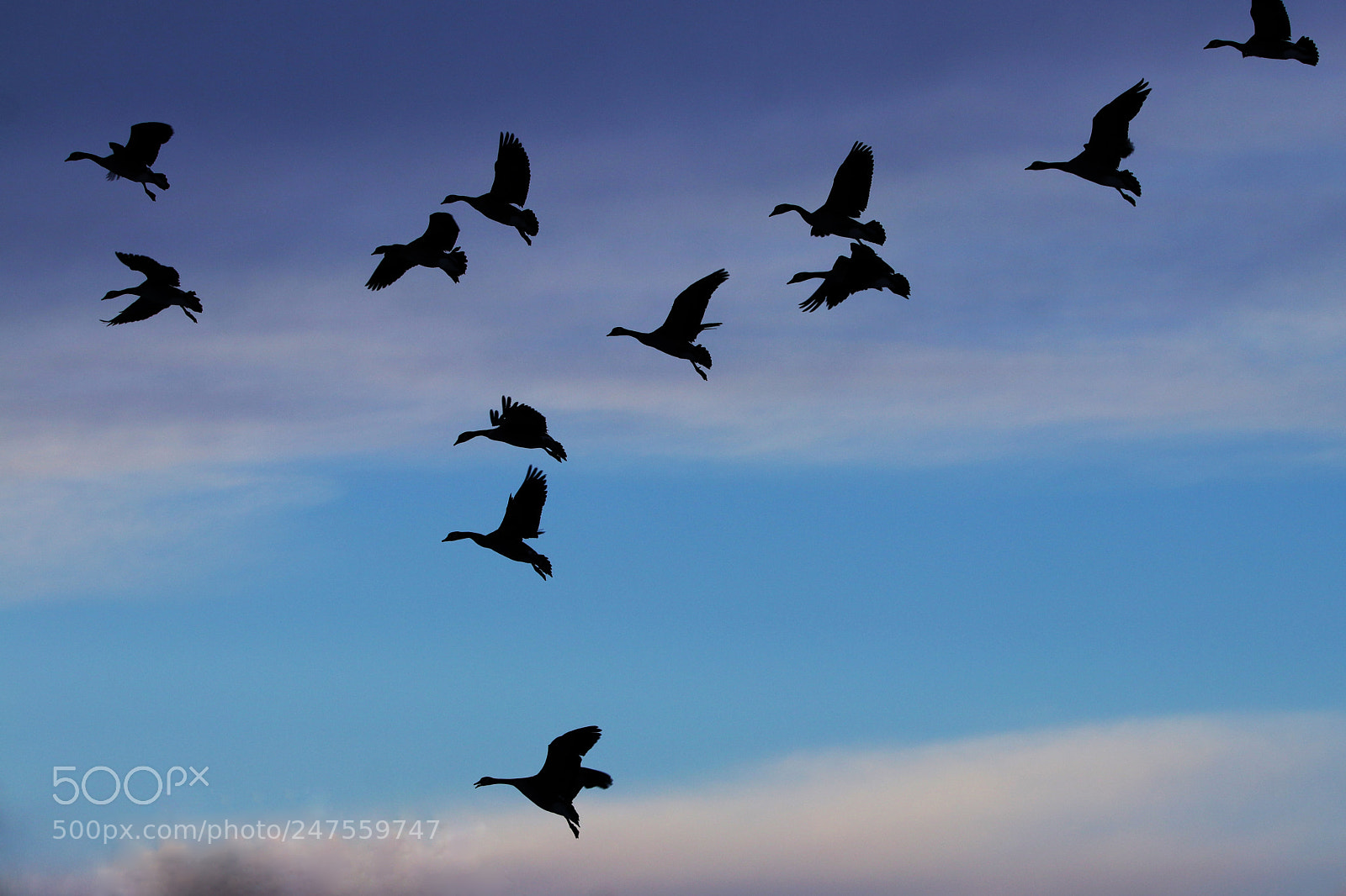 Canon EOS 80D sample photo. The landing party photography