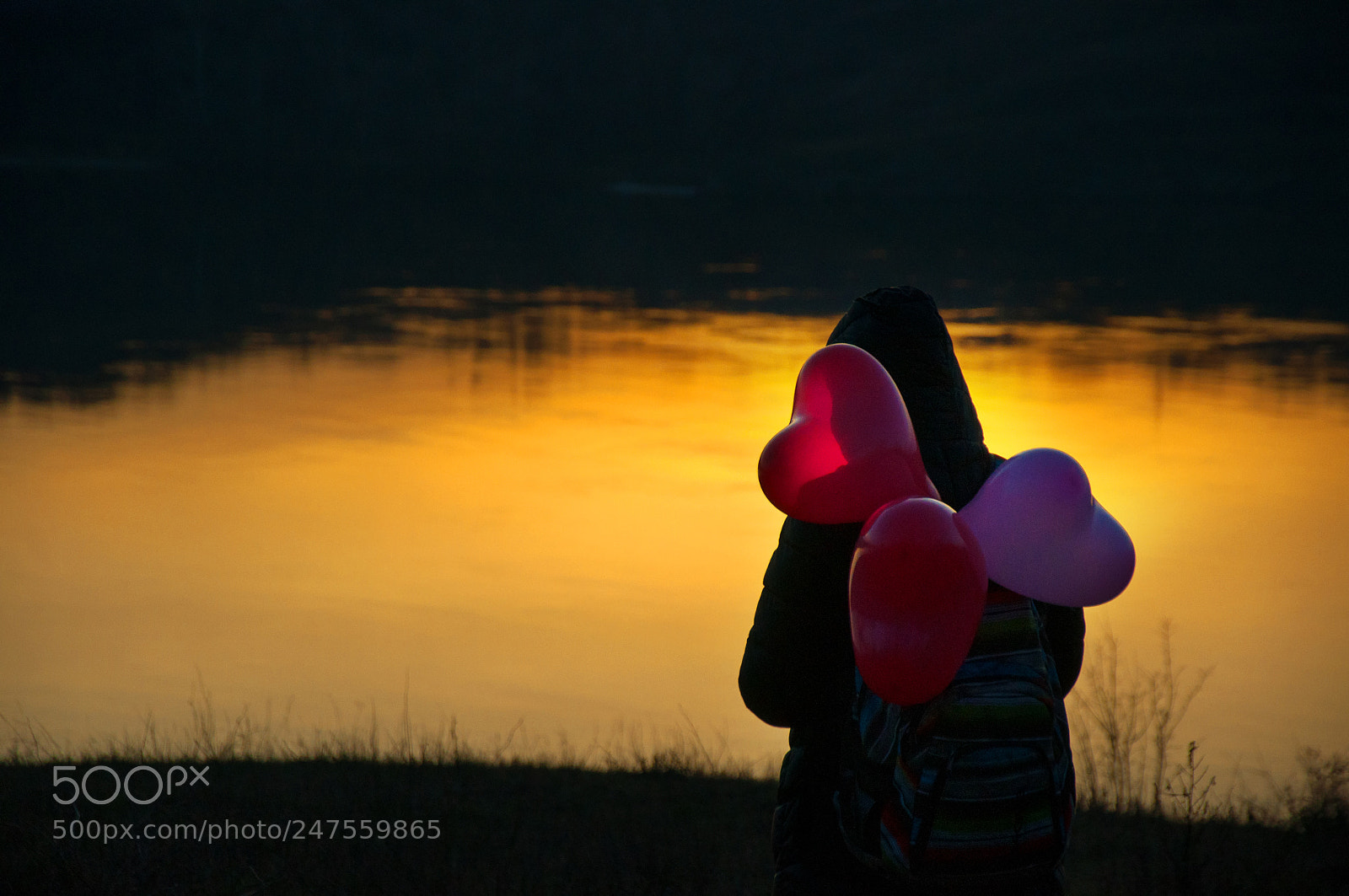 Nikon D90 sample photo. Sunset on the river photography