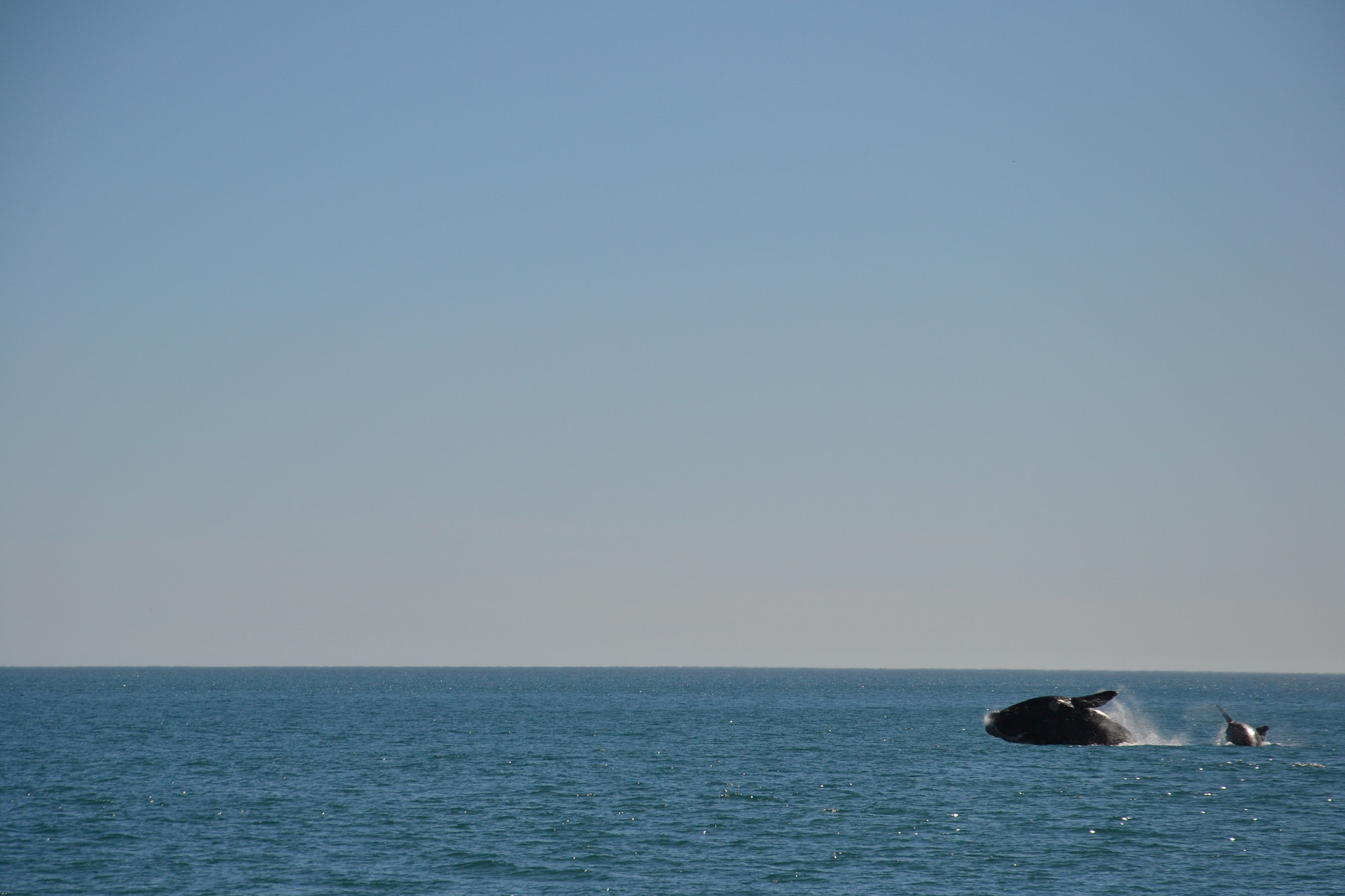 Nikon D3100 sample photo