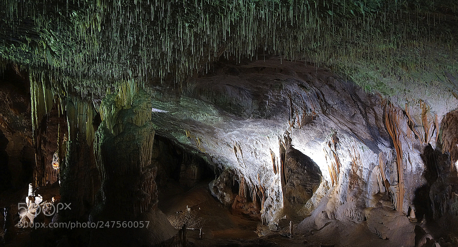Sony Cyber-shot DSC-RX100 sample photo. Postojnska caves - slovenia photography