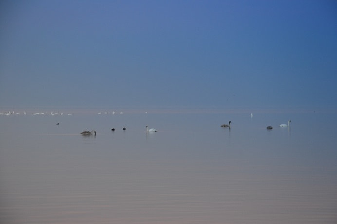 Nikon D3100 sample photo