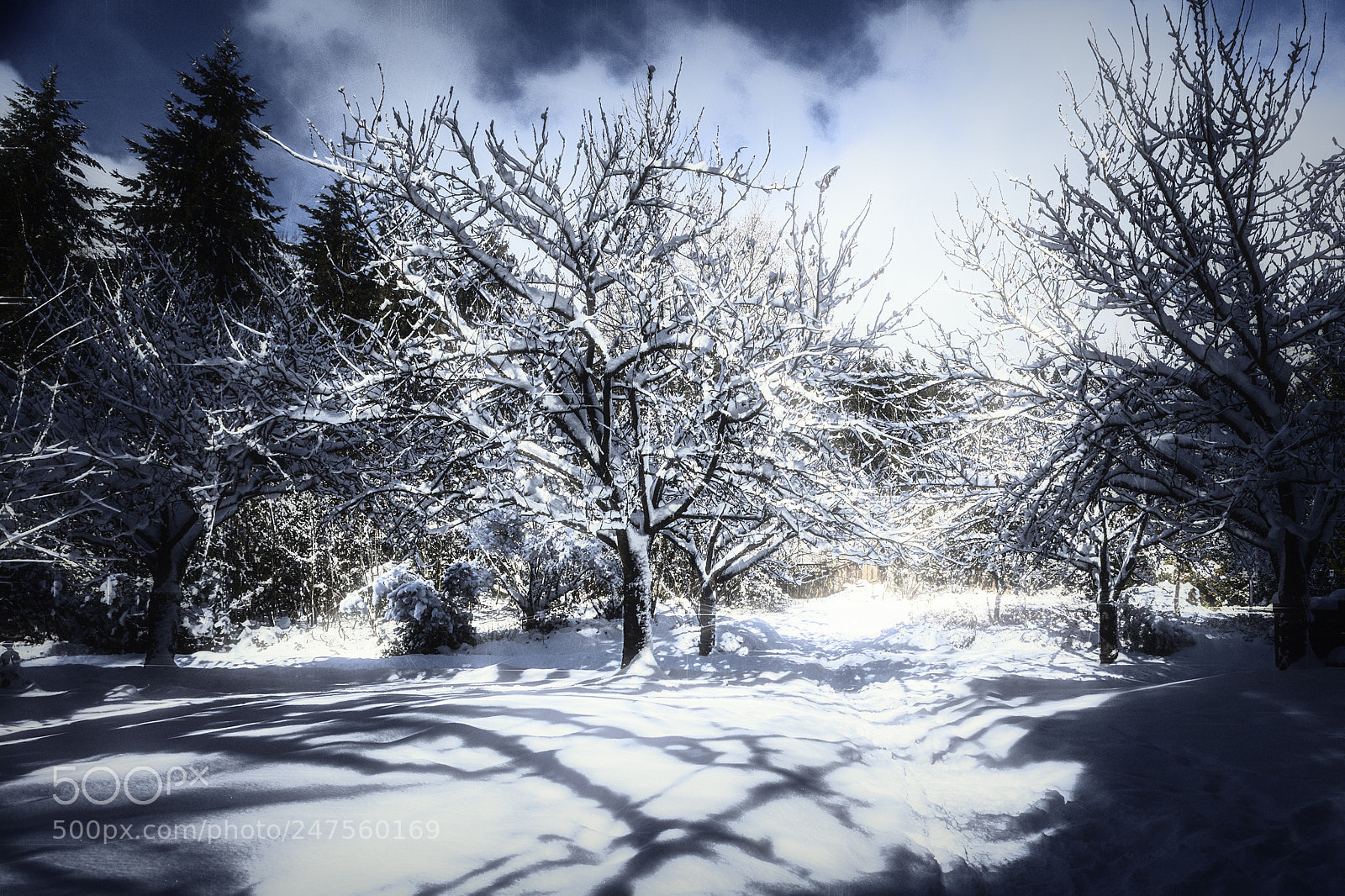 Canon EOS 5DS R sample photo. After the storm photography