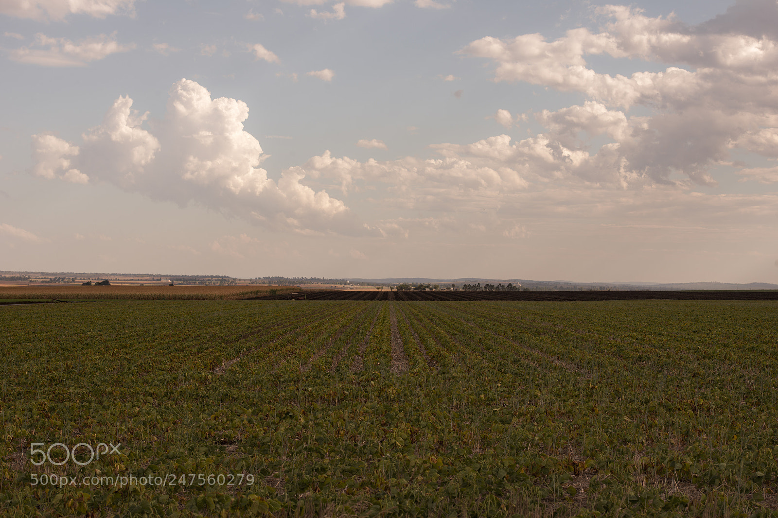 Nikon D800 sample photo. Country agricultural and farming photography