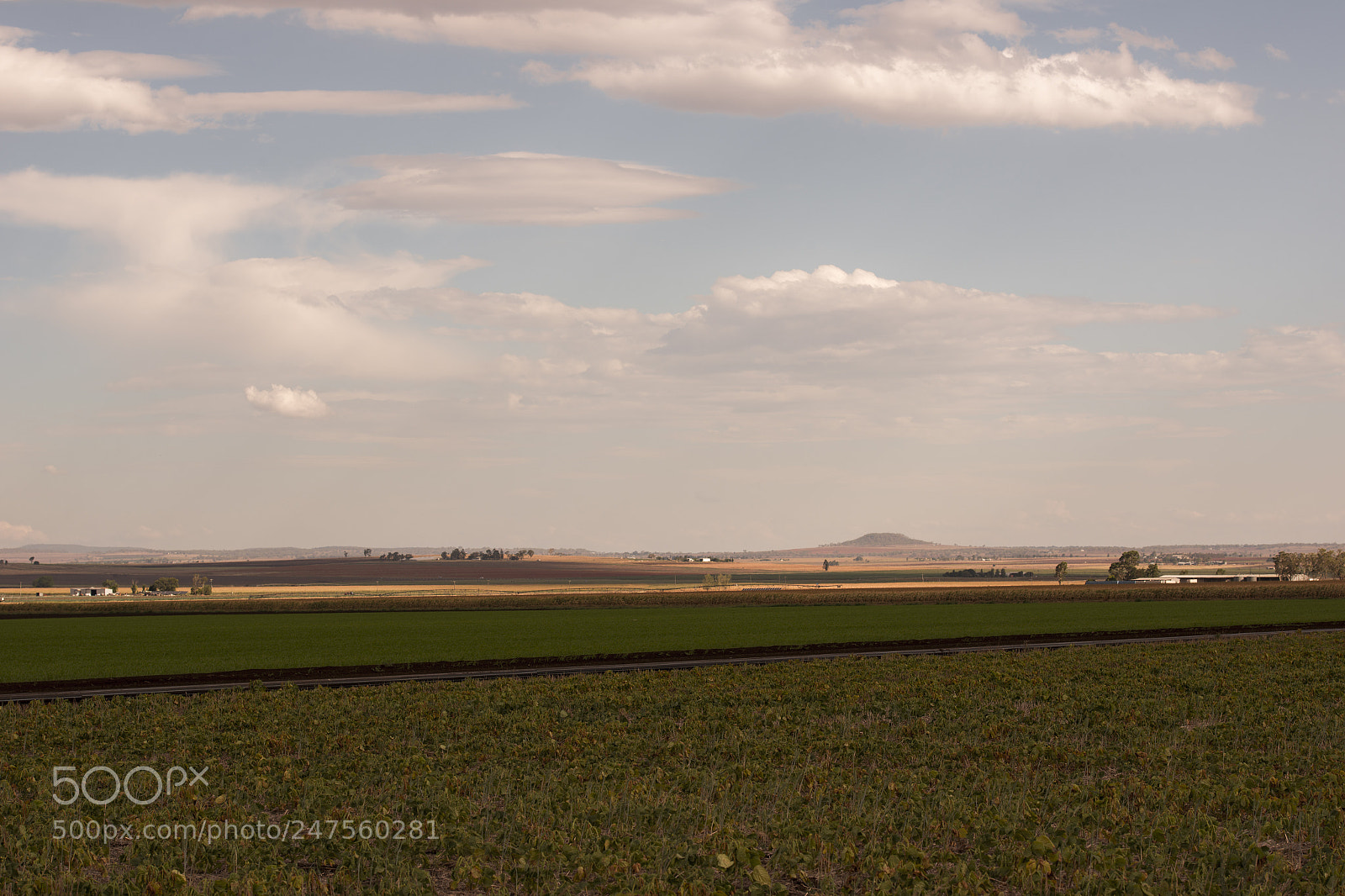 Nikon D800 sample photo. Country agricultural and farming photography