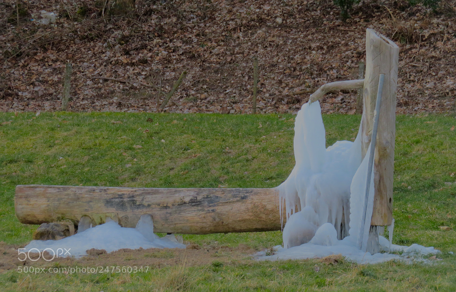 Canon PowerShot SX730 HS sample photo. -12 degrés ce matin. photography