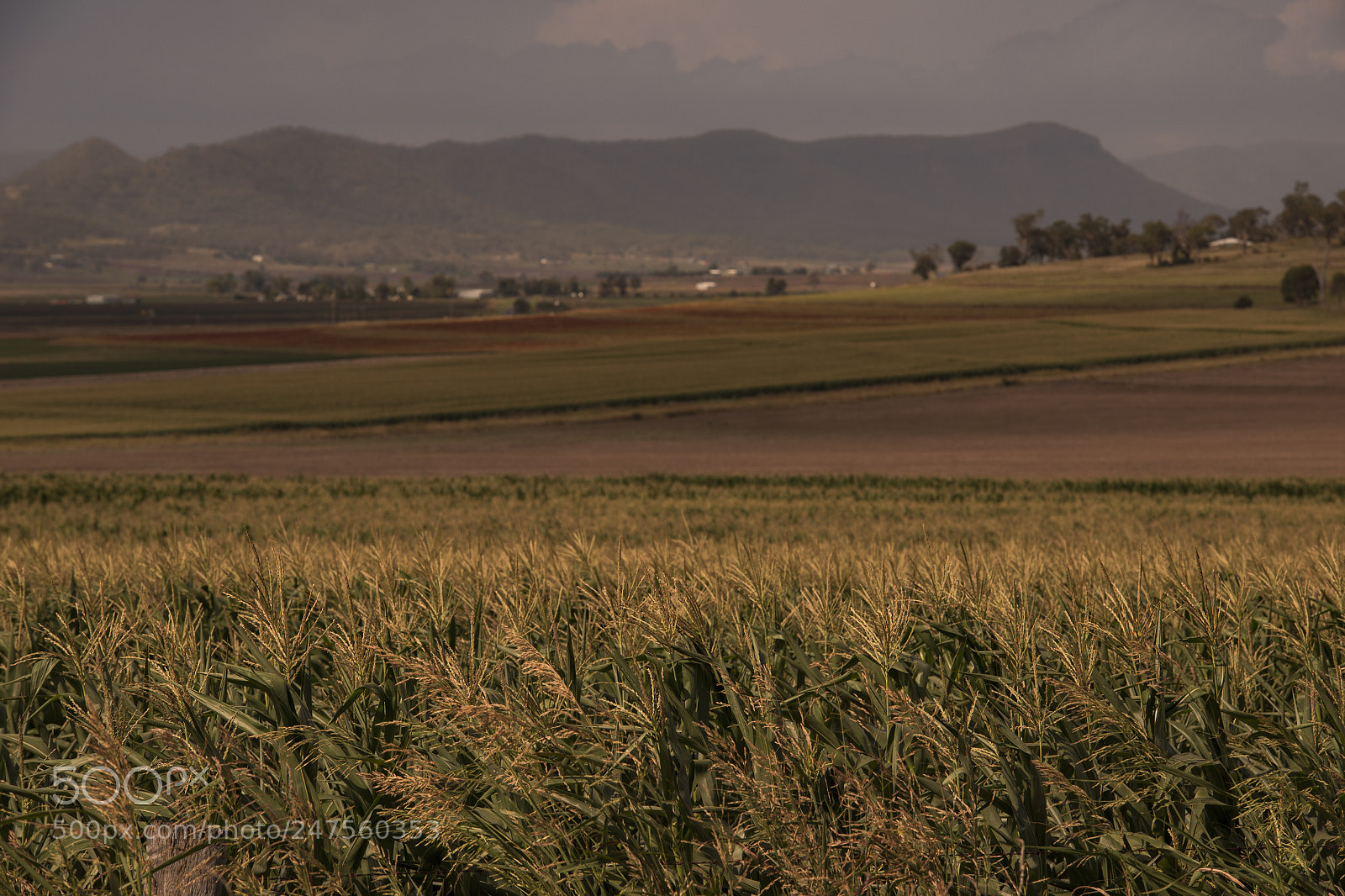 Nikon D800 sample photo. Country agricultural and farming photography
