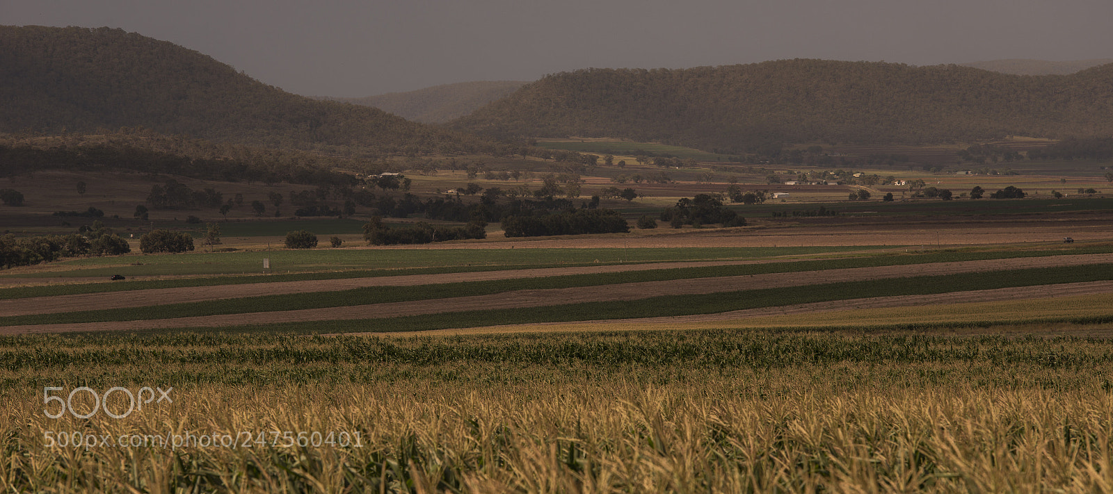 Nikon D800 sample photo. Country agricultural and farming photography