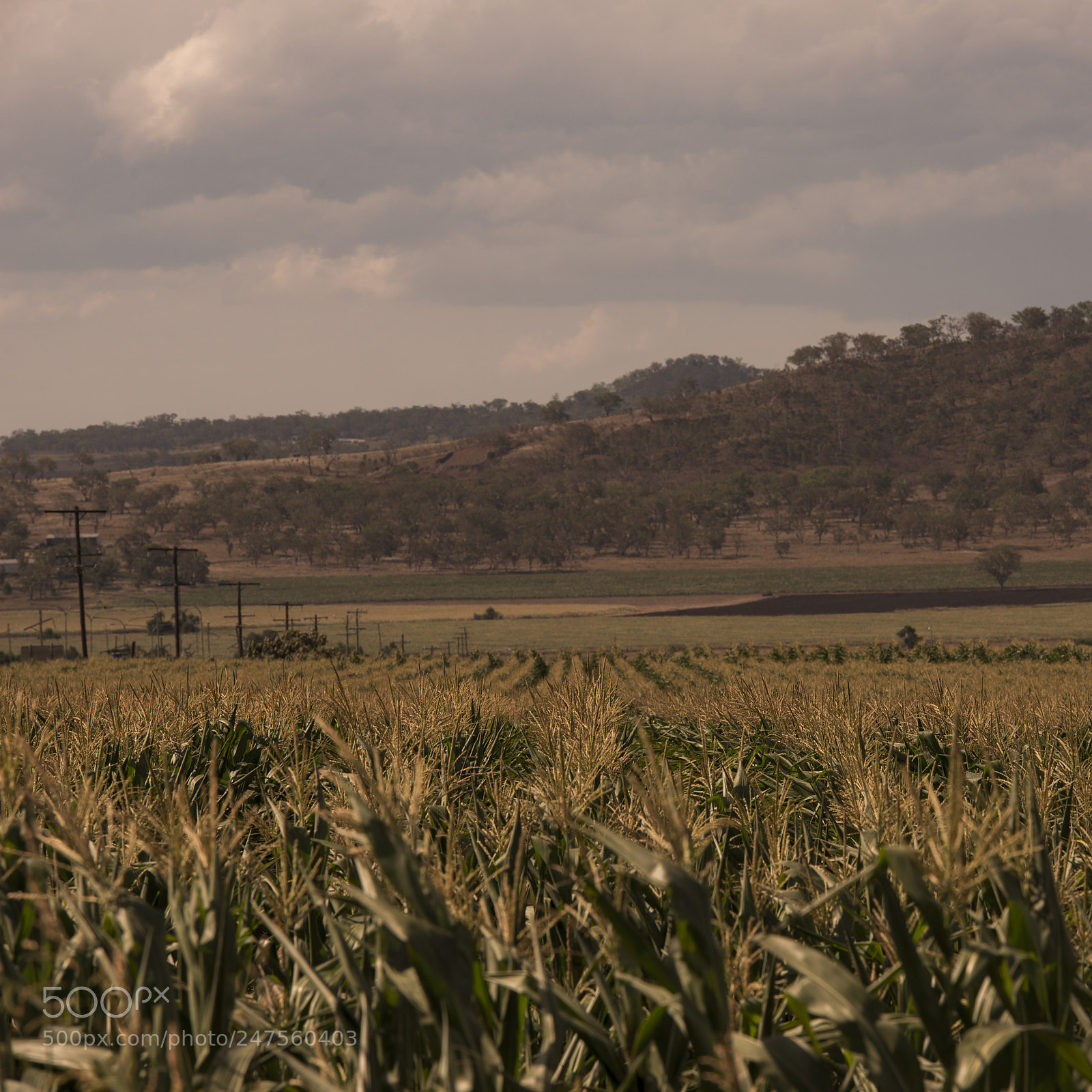 Nikon D800 sample photo. Country agricultural and farming photography