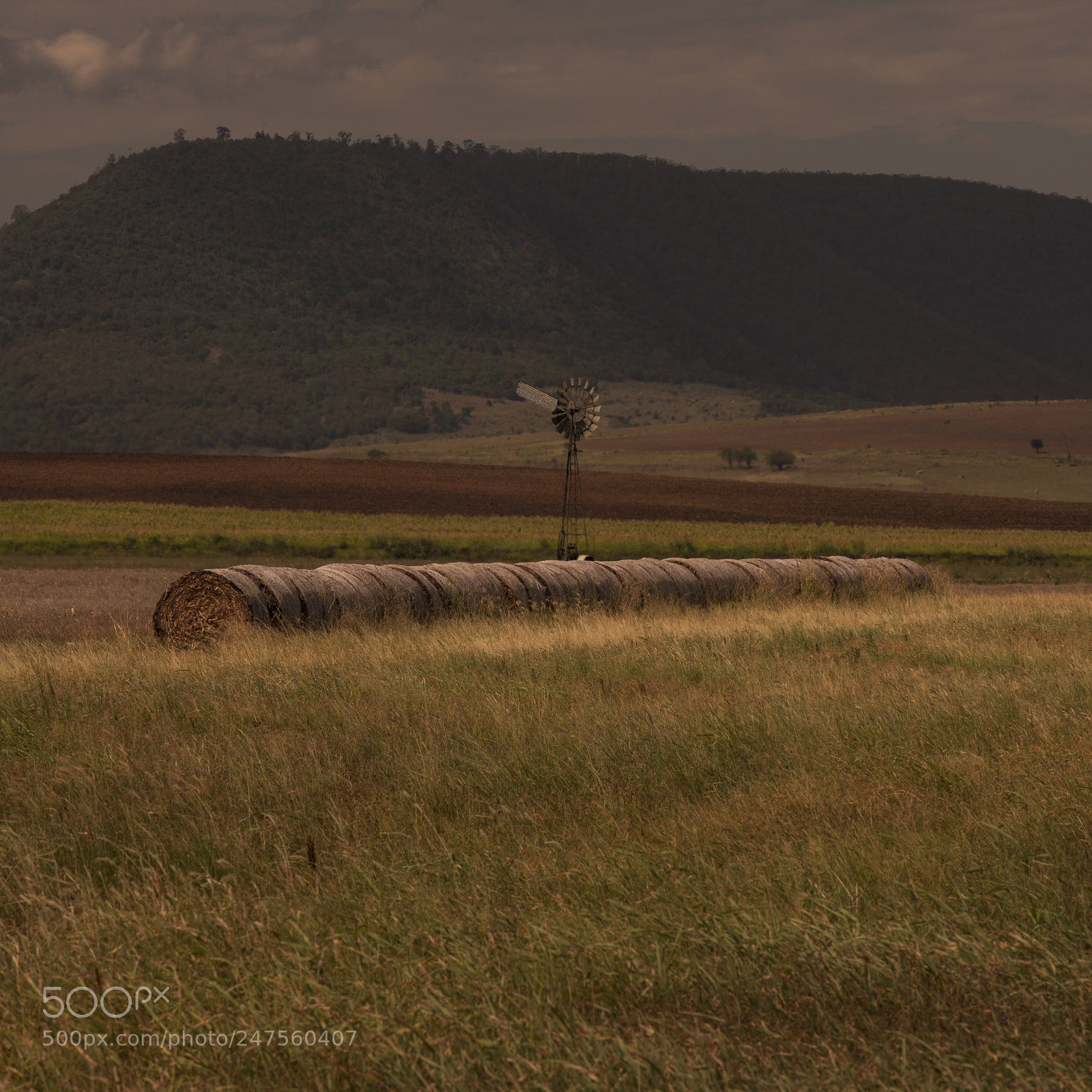 Nikon D800 sample photo. Country agricultural and farming photography