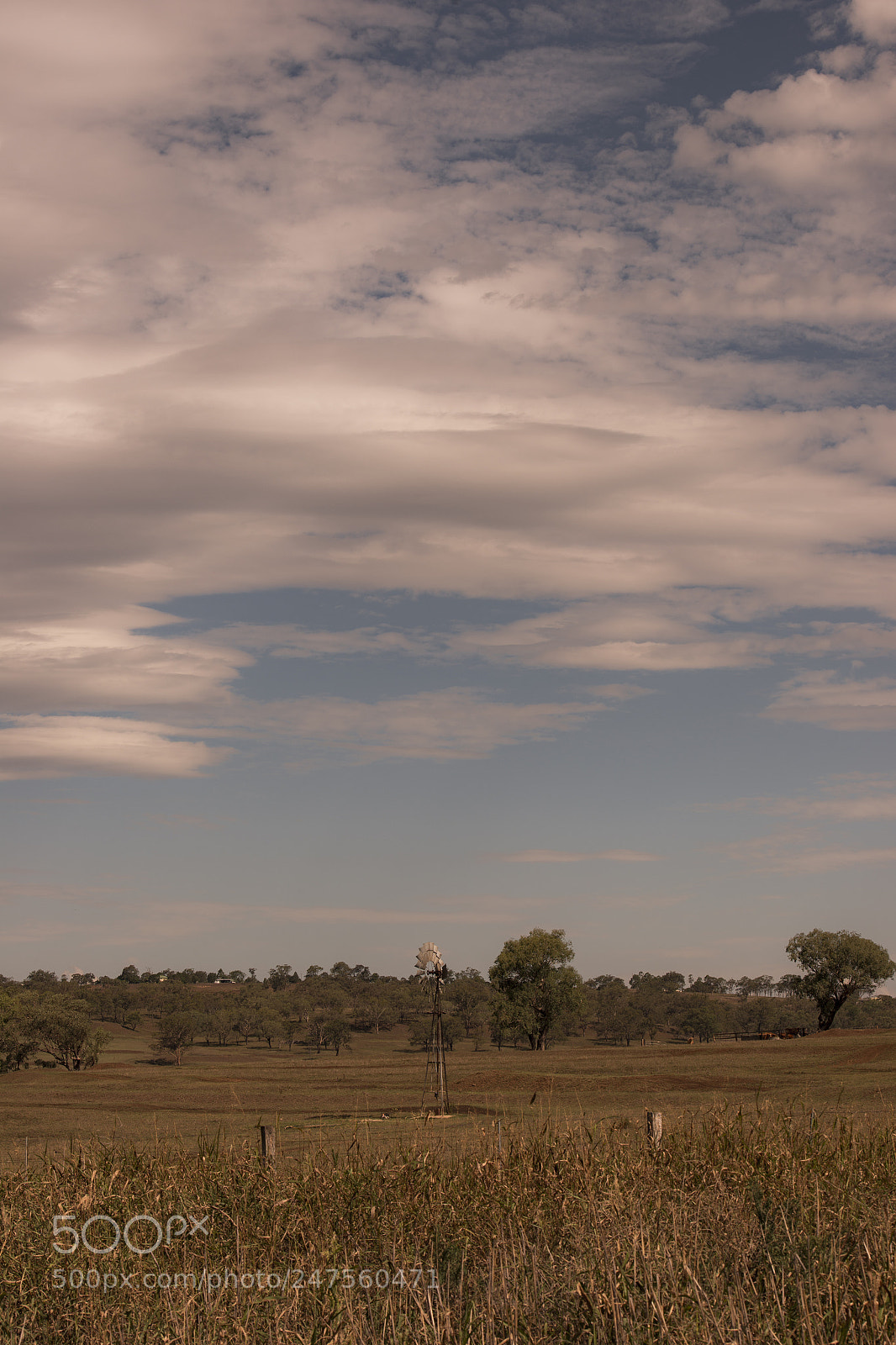 Nikon D800 sample photo. Country agricultural and farming photography