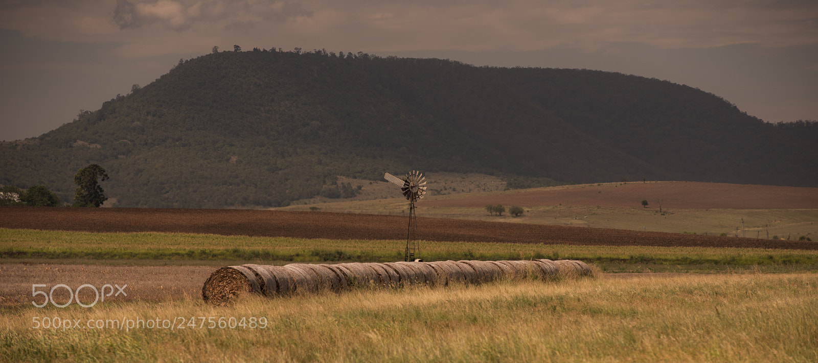 Nikon D800 sample photo. Country agricultural and farming photography