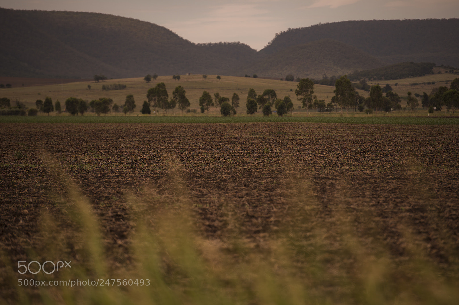 Nikon D800 sample photo. Country agricultural and farming photography