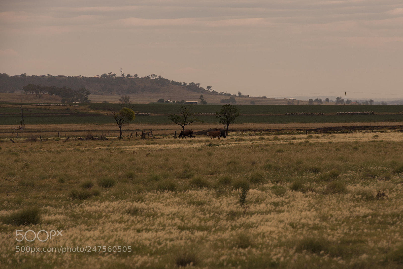Nikon D800 sample photo. Country agricultural and farming photography