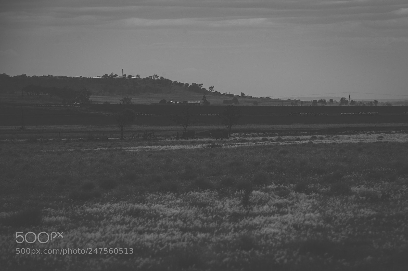 Nikon D800 sample photo. Country agricultural and farming photography