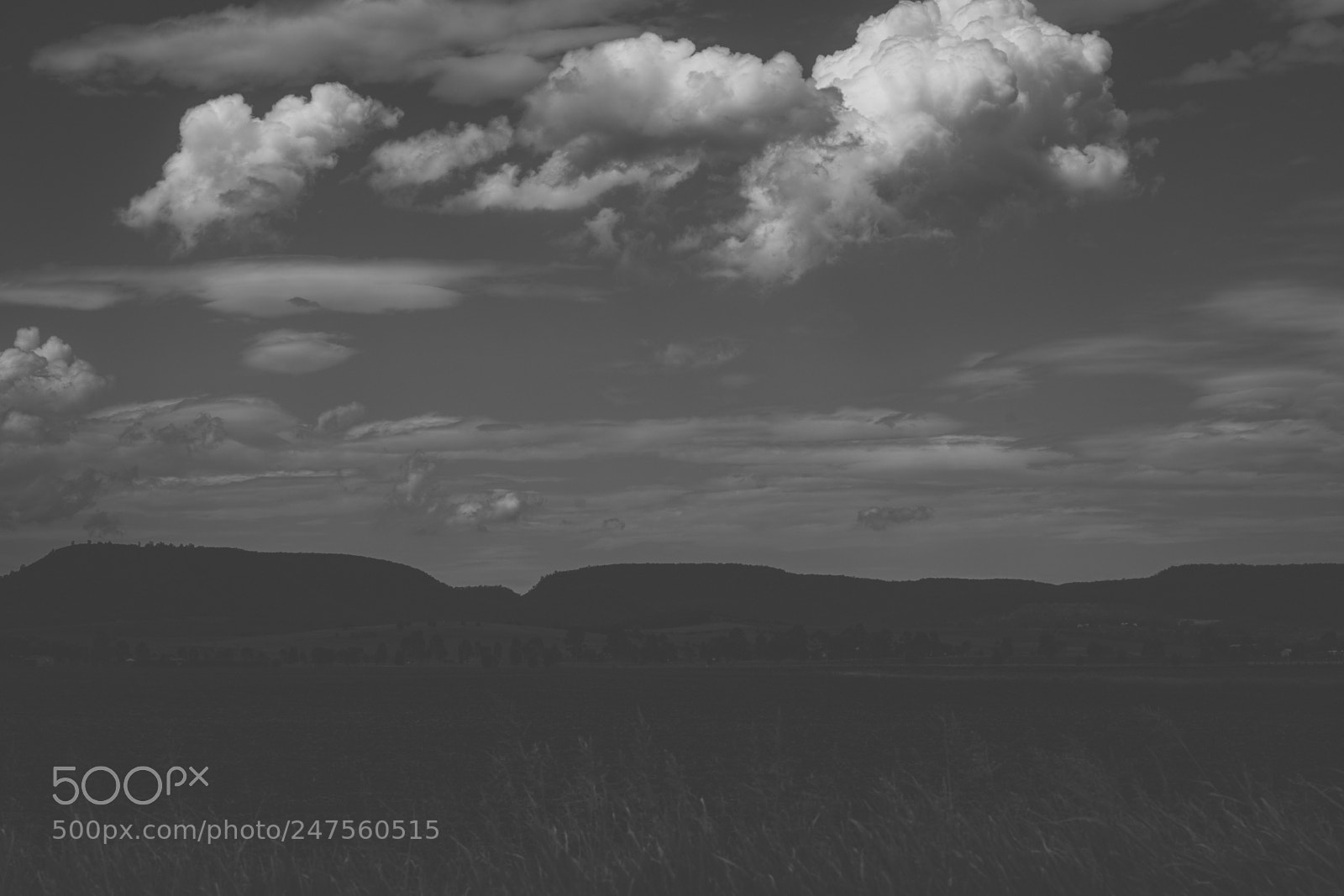 Nikon D800 sample photo. Country agricultural and farming photography