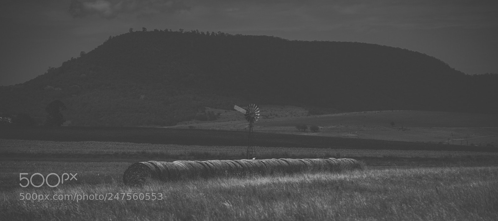 Nikon D800 sample photo. Country agricultural and farming photography