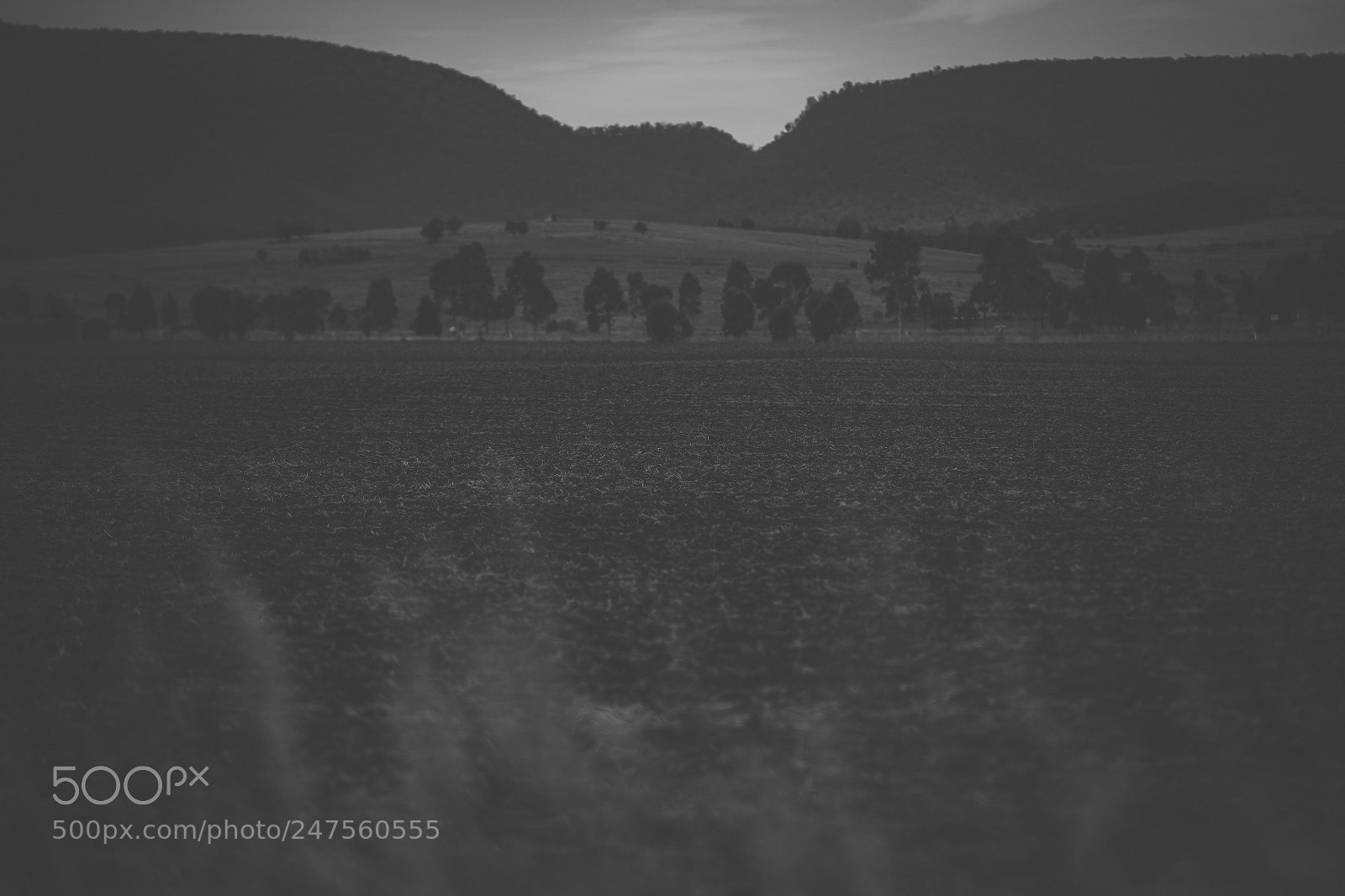 Nikon D800 sample photo. Country agricultural and farming photography