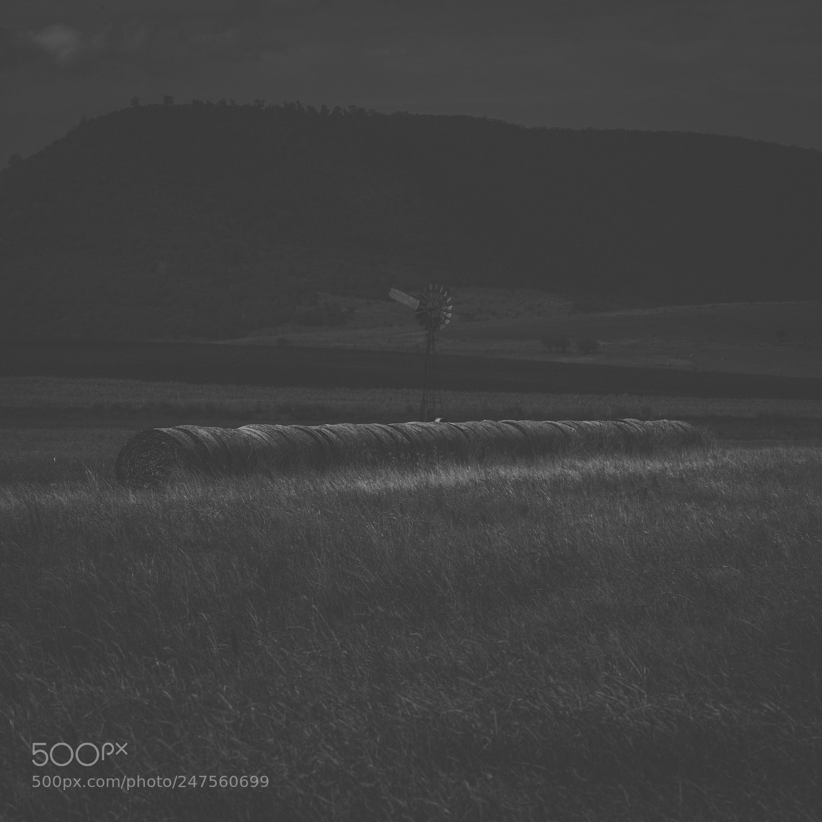 Nikon D800 sample photo. Country agricultural and farming photography