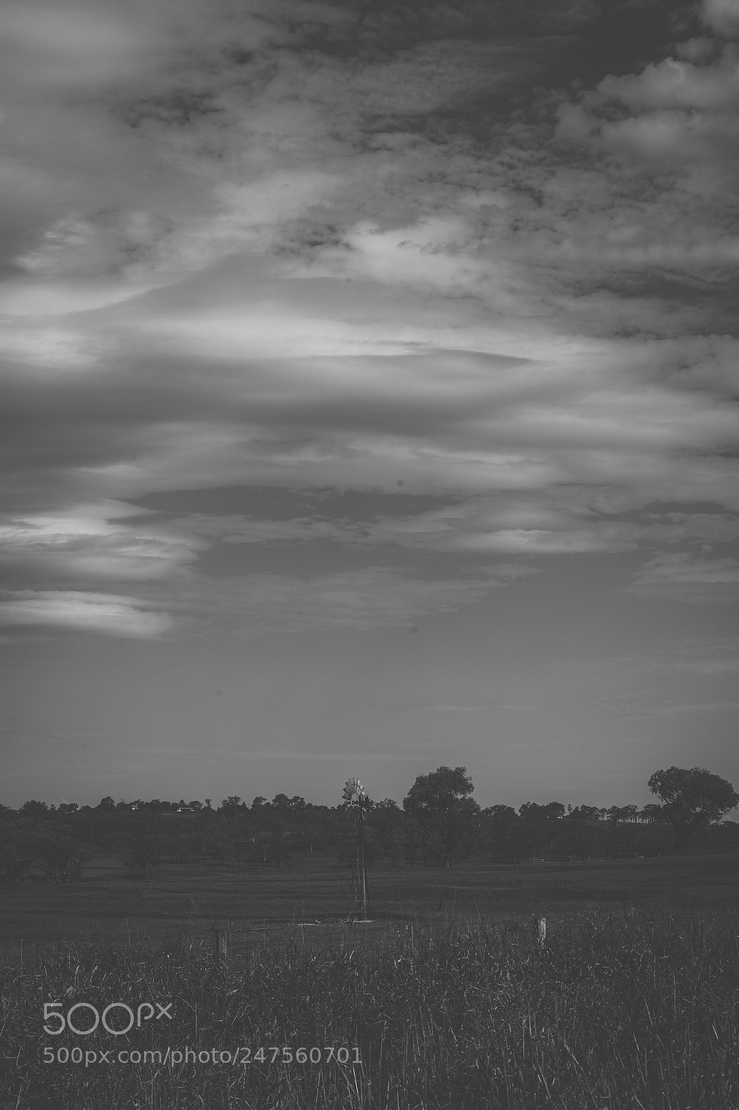 Nikon D800 sample photo. Country agricultural and farming photography