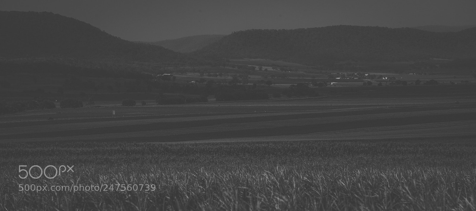 Nikon D800 sample photo. Country agricultural and farming photography