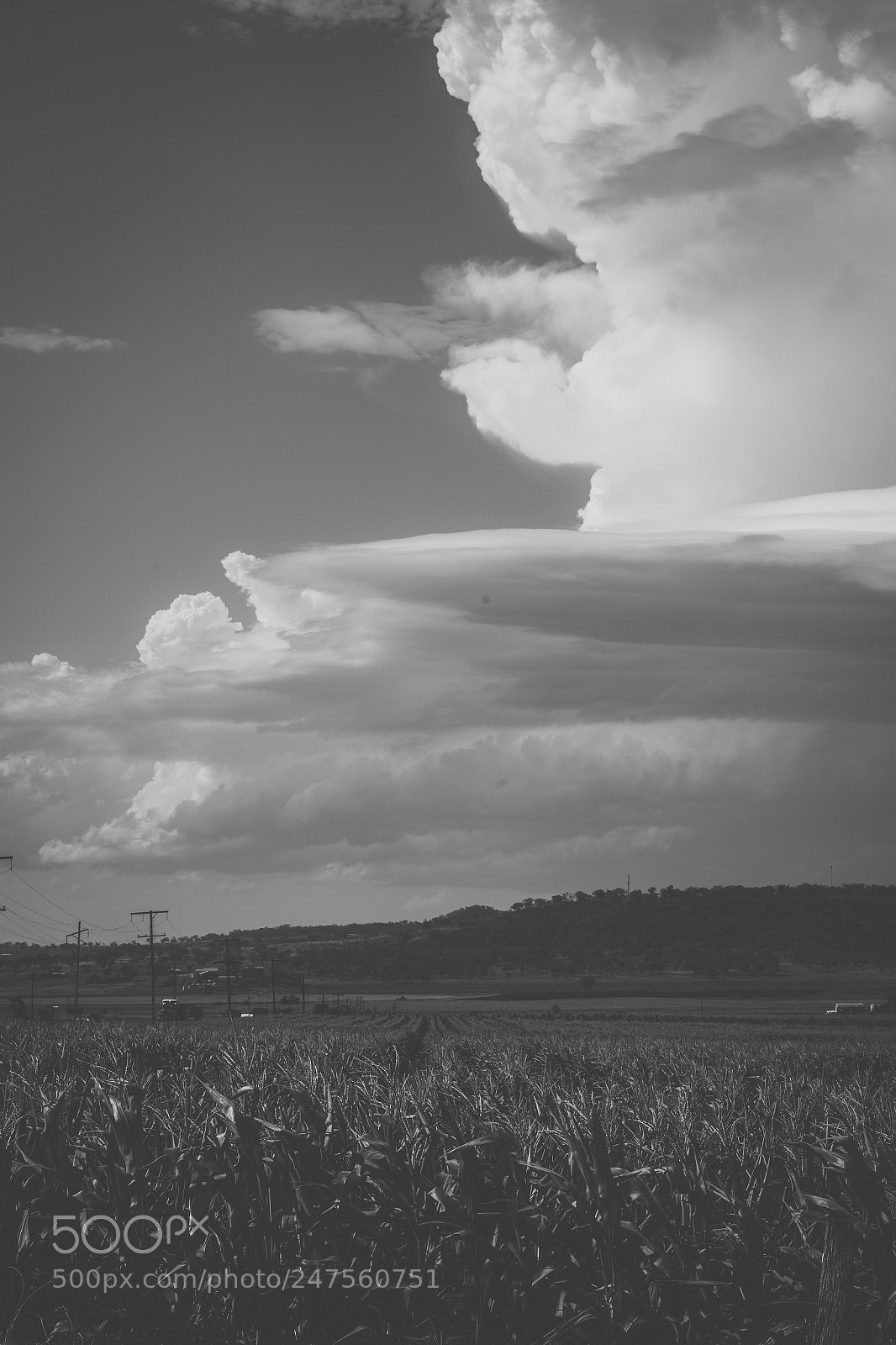 Nikon D800 sample photo. Country agricultural and farming photography