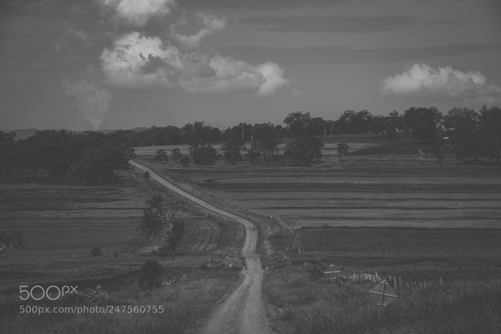 Nikon D800 sample photo. Country agricultural and farming photography