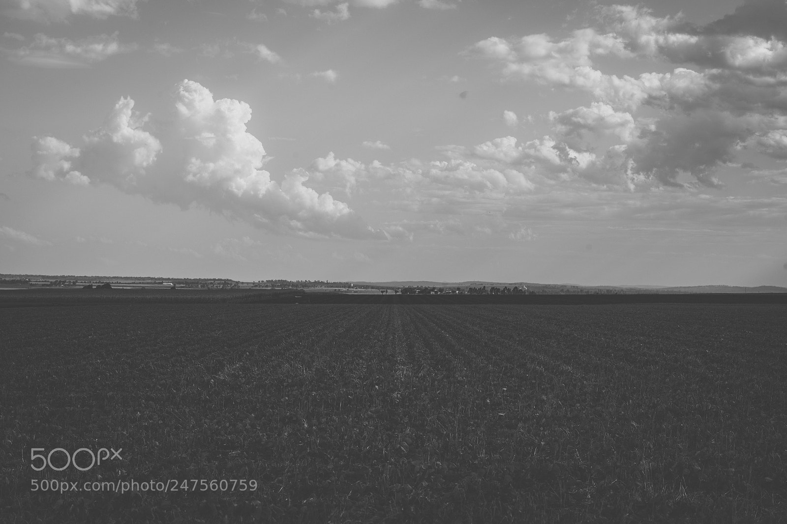 Nikon D800 sample photo. Country agricultural and farming photography