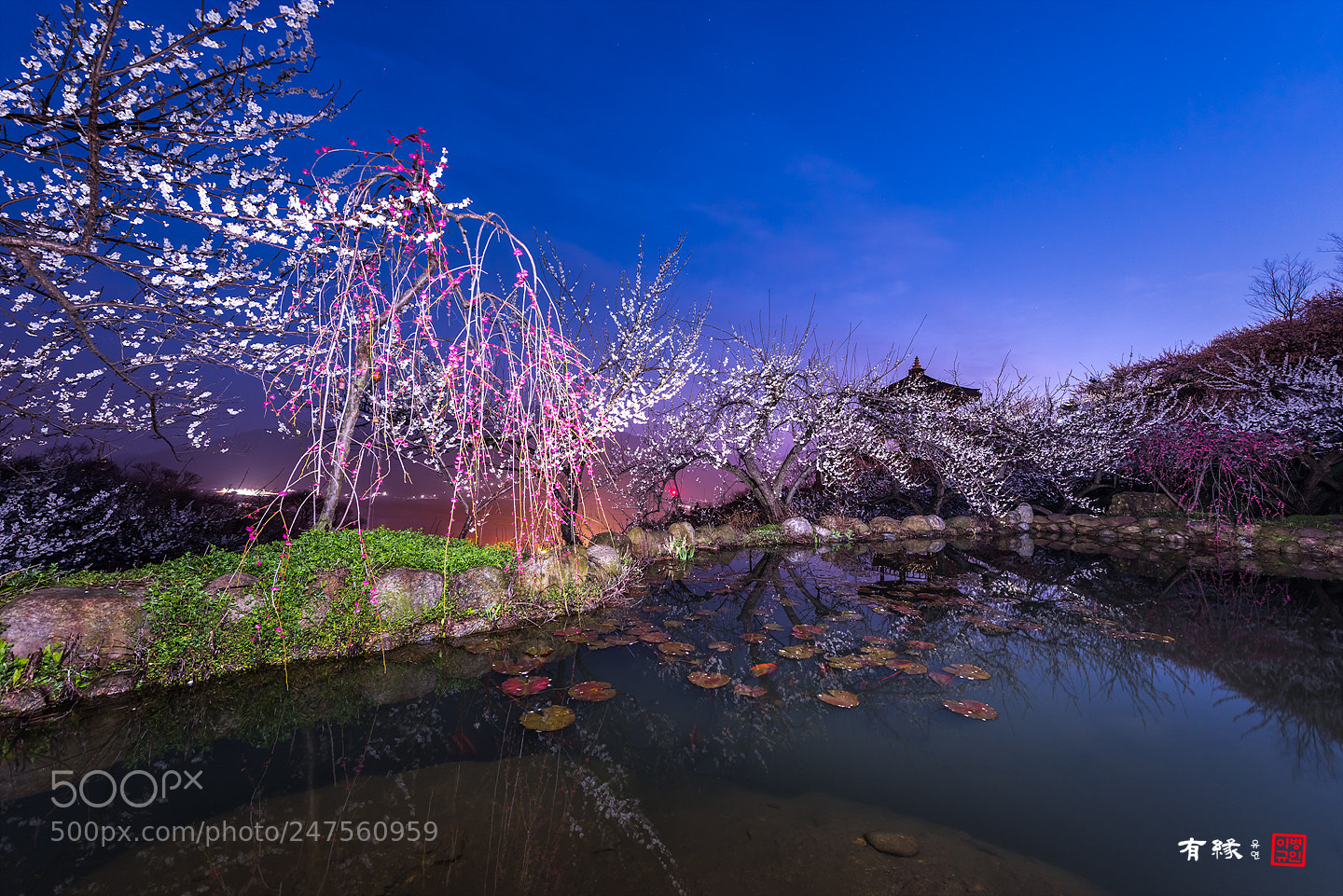 Nikon D810 sample photo. . photography