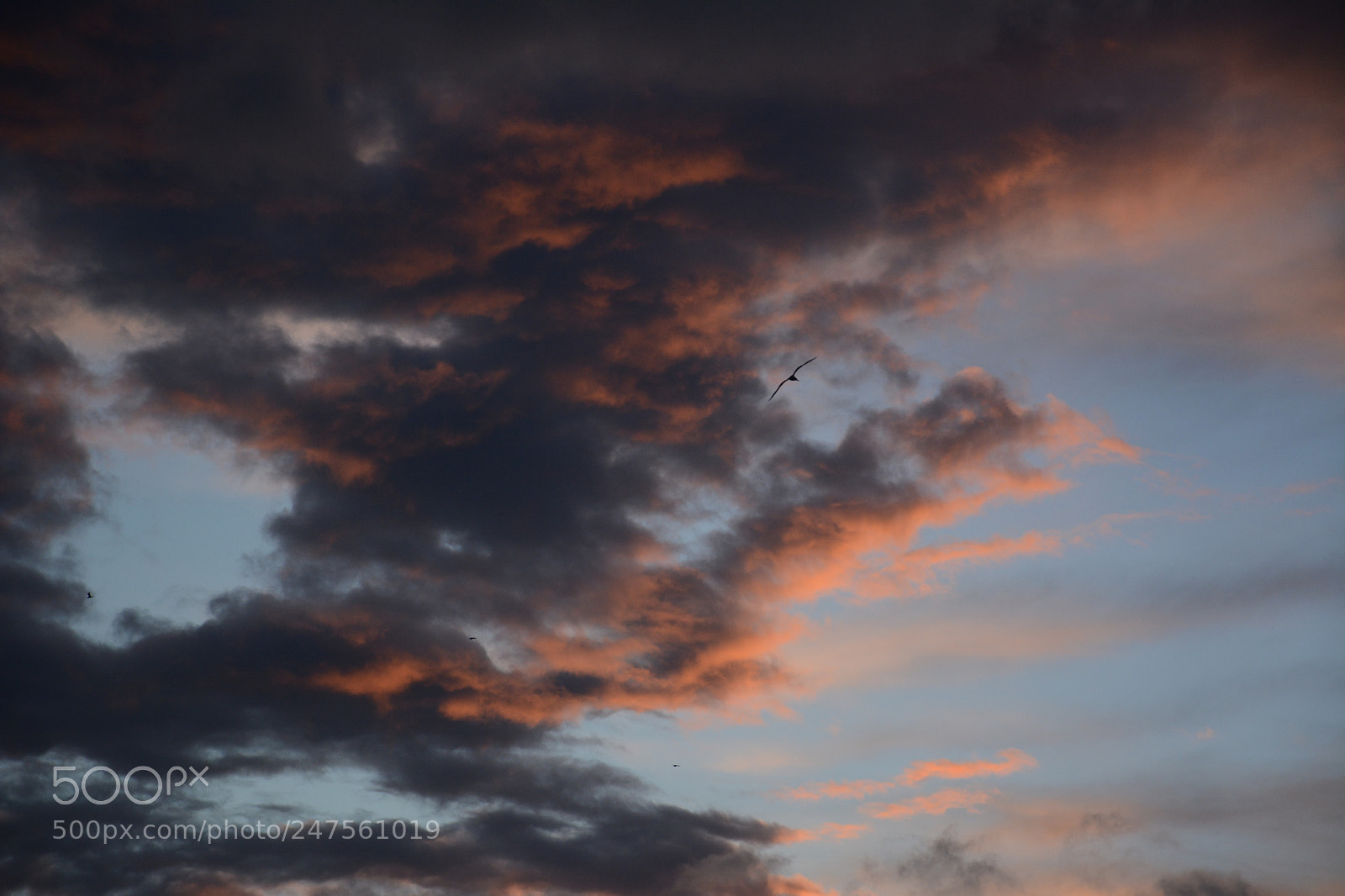 Nikon D7100 sample photo. Sunset photography