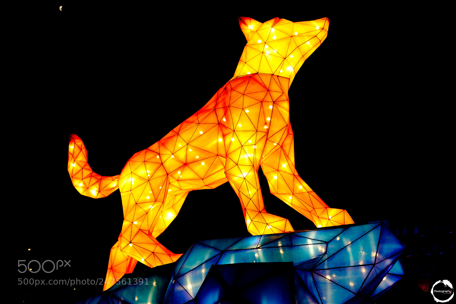 Fujifilm X100F sample photo. Year of the dog 2018 photography