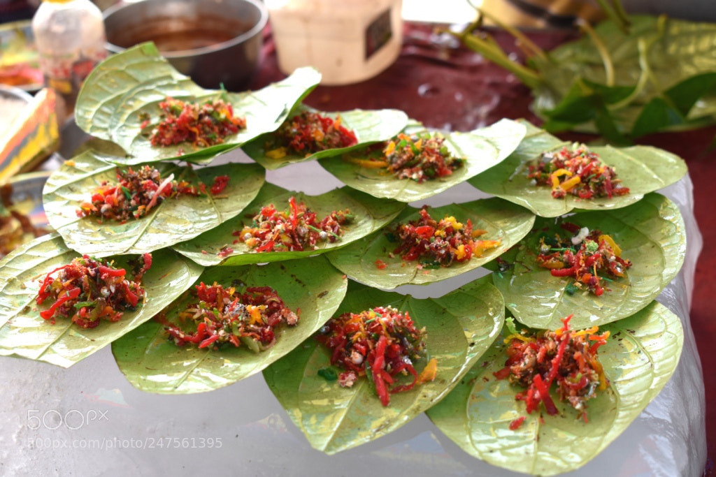 Nikon D3400 sample photo. Beauty of betel photography