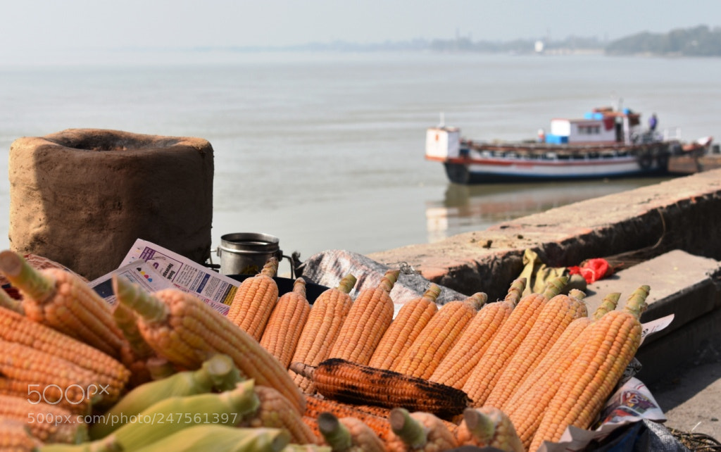 Nikon D3400 sample photo. Corn on the coast photography