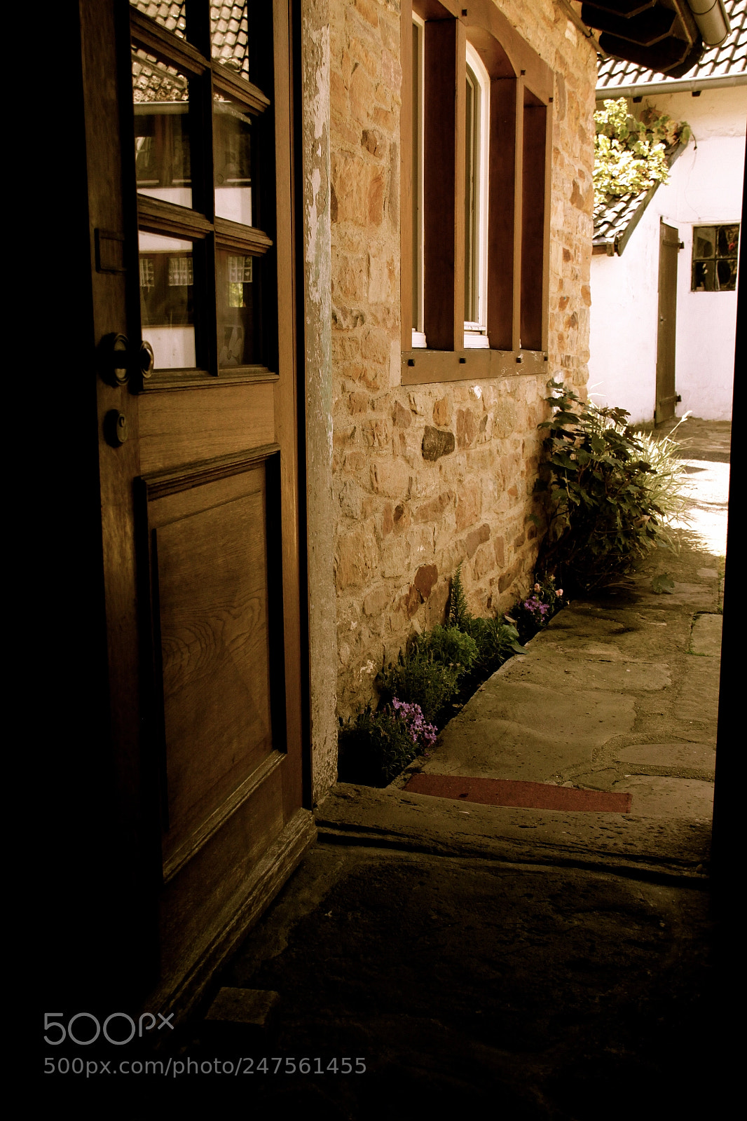 Canon EOS 50D sample photo. له photography