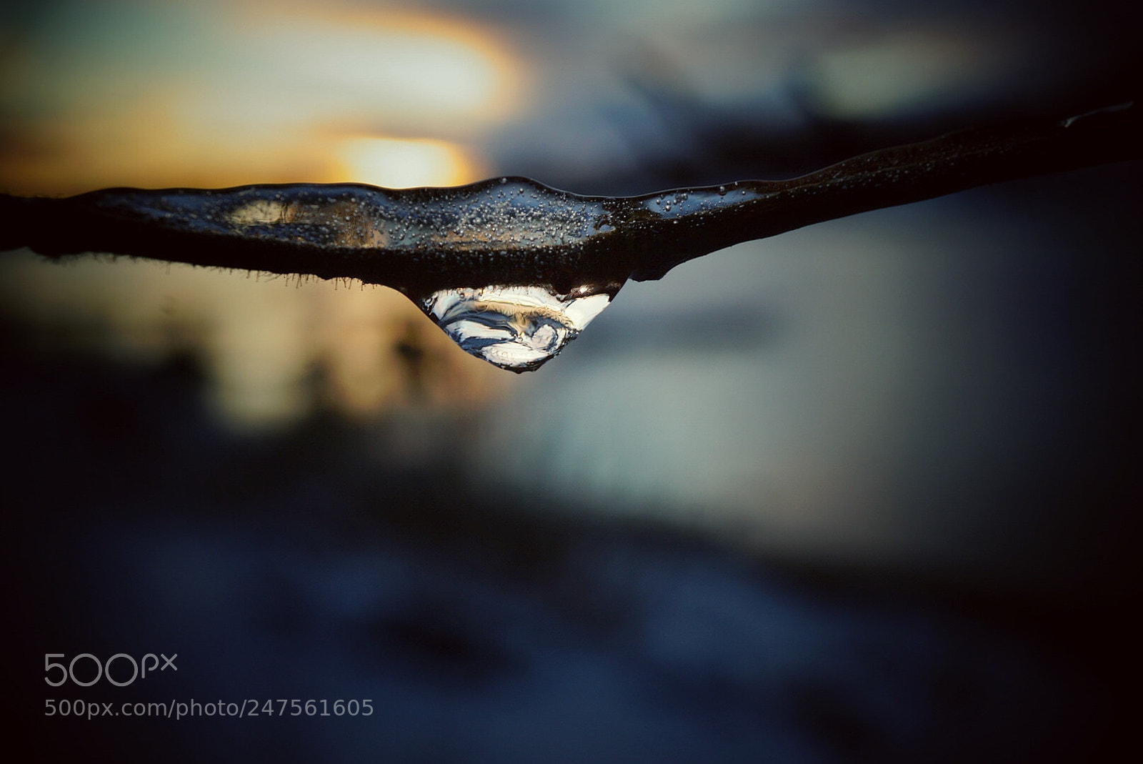 Sony a5100 sample photo. Untitled photography