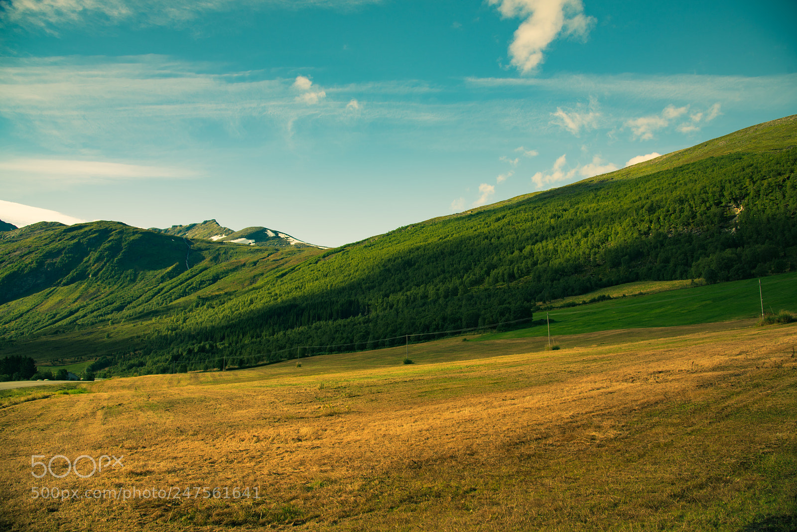 Nikon D810 sample photo. Somewhere in norway photography