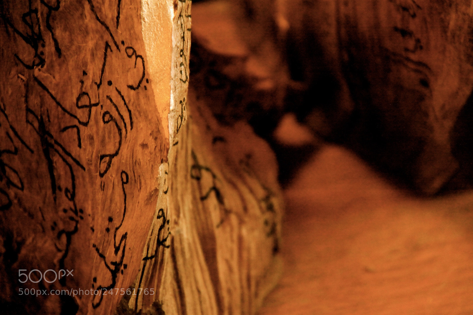 Canon EOS 50D sample photo. أوراق photography
