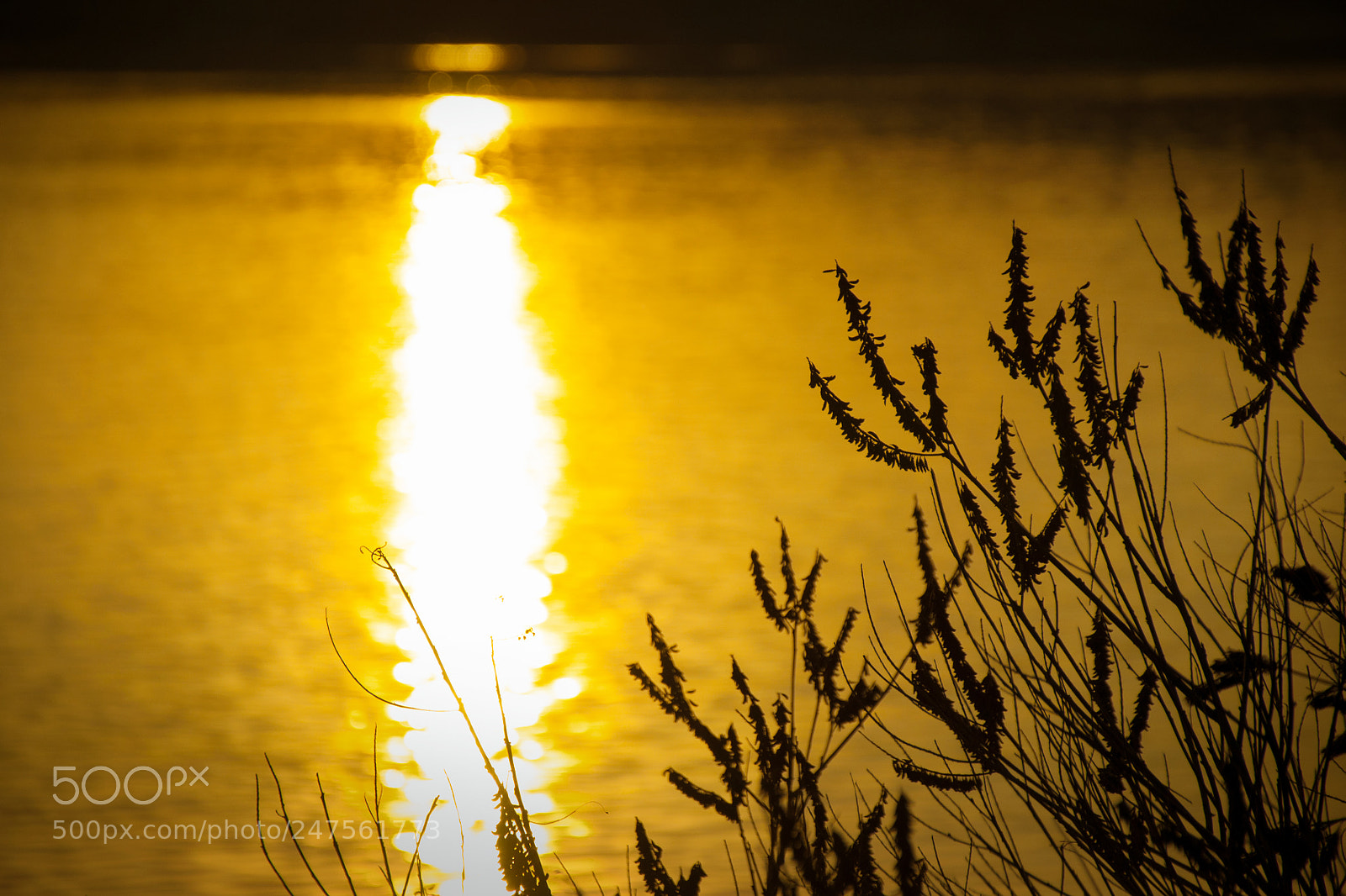 Nikon D90 sample photo. Sunset photography