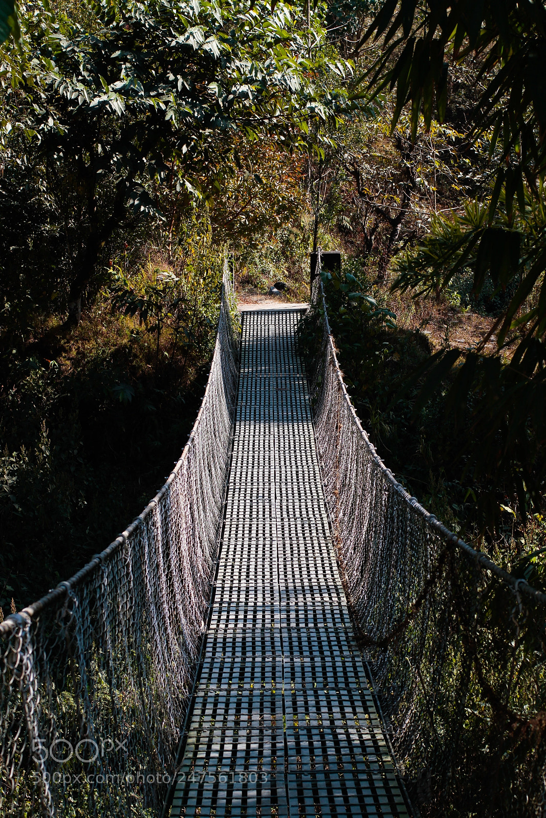 Canon EOS 7D sample photo. Mg photography