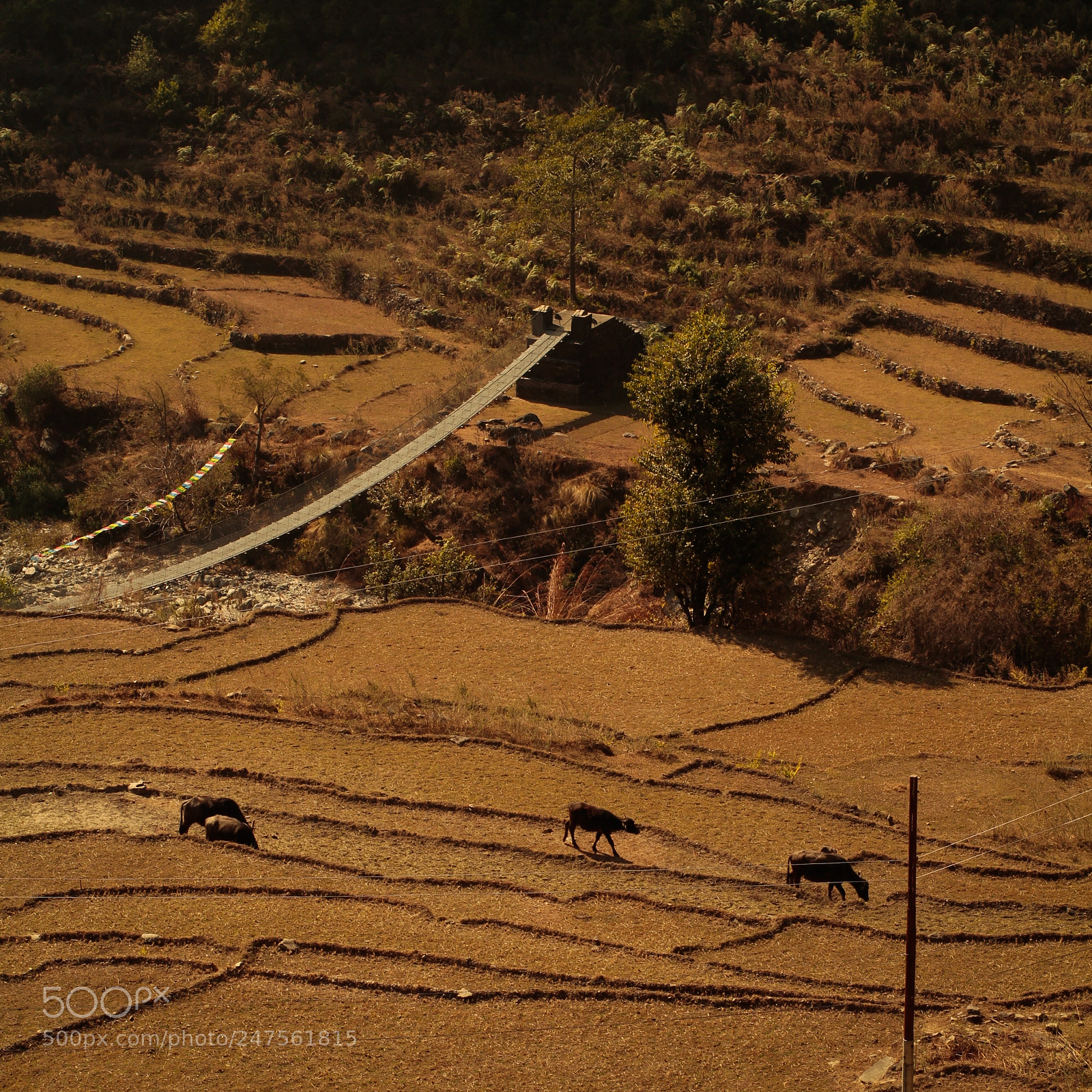 Canon EOS 7D sample photo. Mg photography