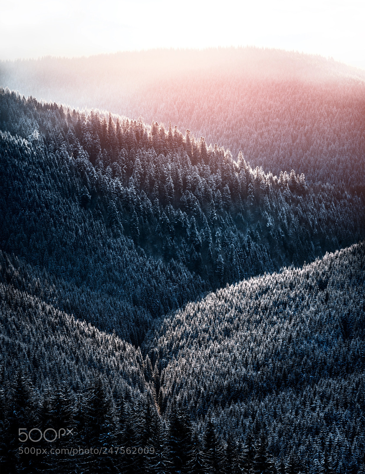 Nikon D800 sample photo. Morning light photography
