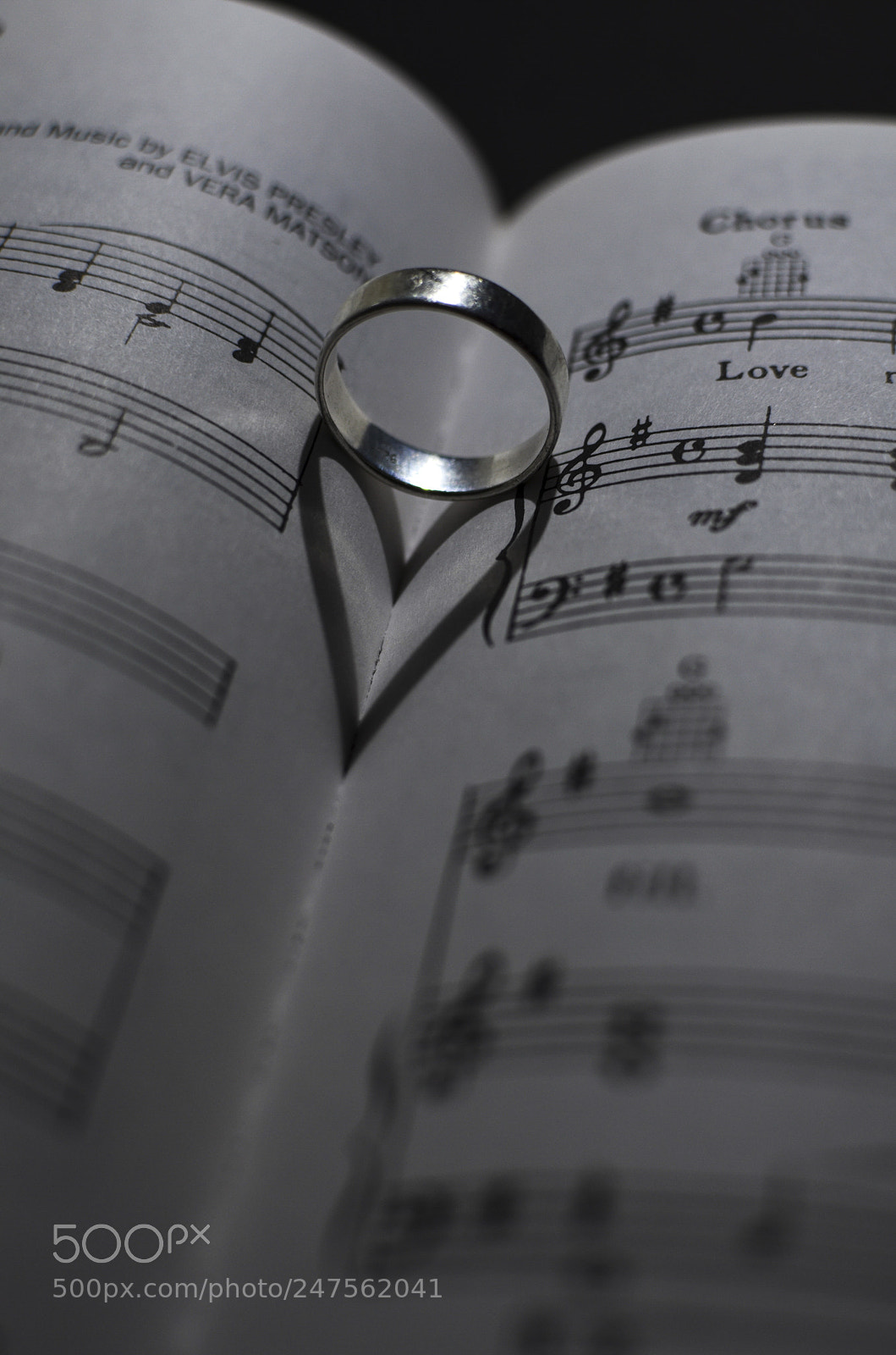 Nikon D5100 sample photo. Love me tender photography