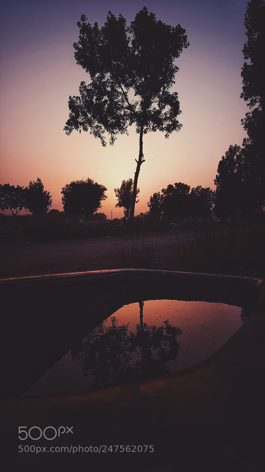 Samsung Galaxy S6 sample photo. Story. photography
